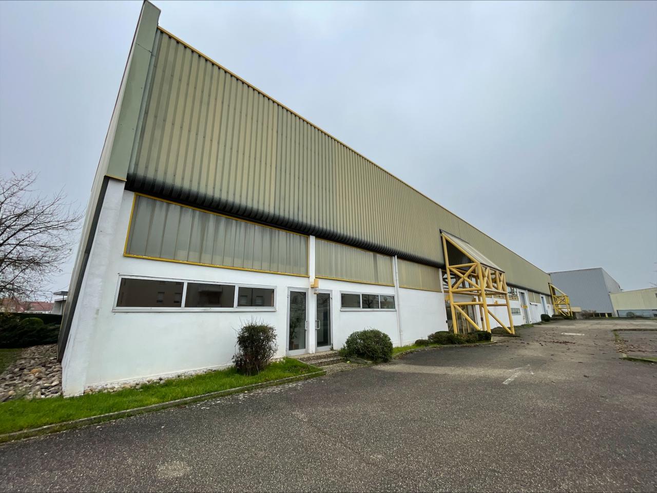 Local d'activité Obernai 2480m² Vente local d'activité Obernai Bas-Rhin OVACT2427485 1